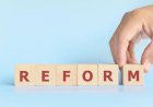 The reform options