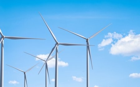 The Expensive Green Delusion