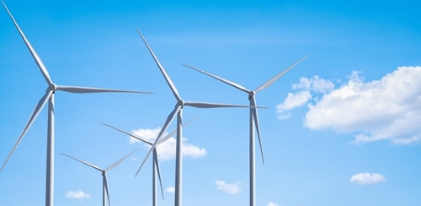 The Expensive Green Delusion