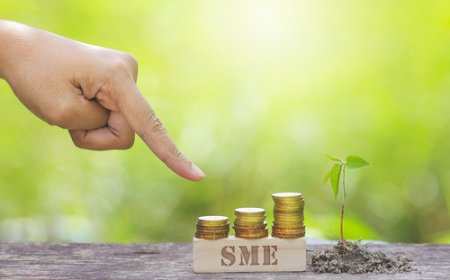 Empowering SMEs: Bangladesh's Urgent Path to Global Competitiveness Post-LDC Graduation