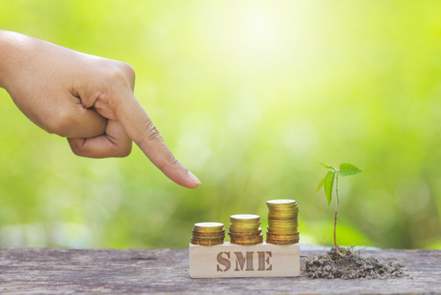 Empowering SMEs: Bangladesh's Urgent Path to Global Competitiveness Post-LDC Graduation