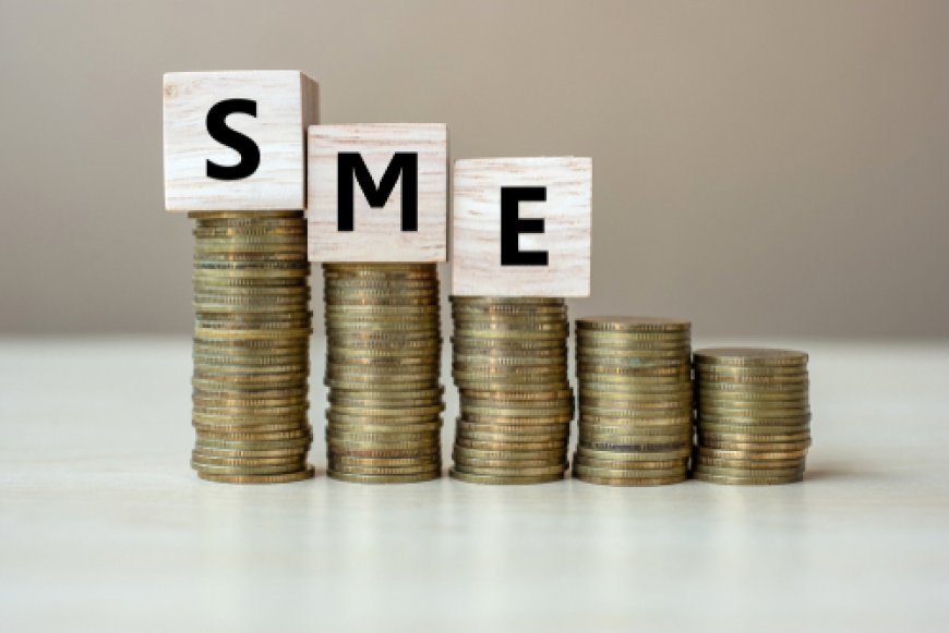 Empowering SMEs: Bangladesh's Urgent Path to Global Competitiveness Post-LDC Graduation