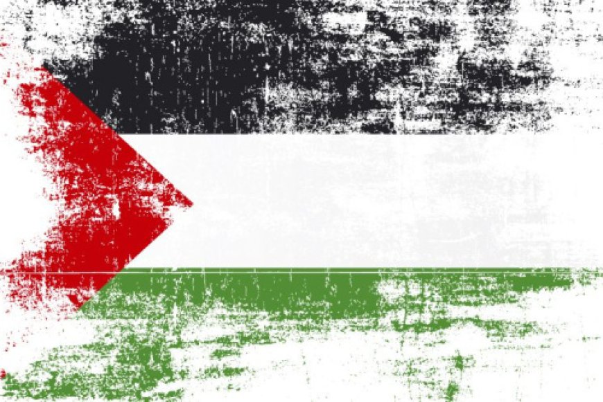 Gaza, Power, and the Politics of Indifference