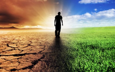 The Road to Net-Zero