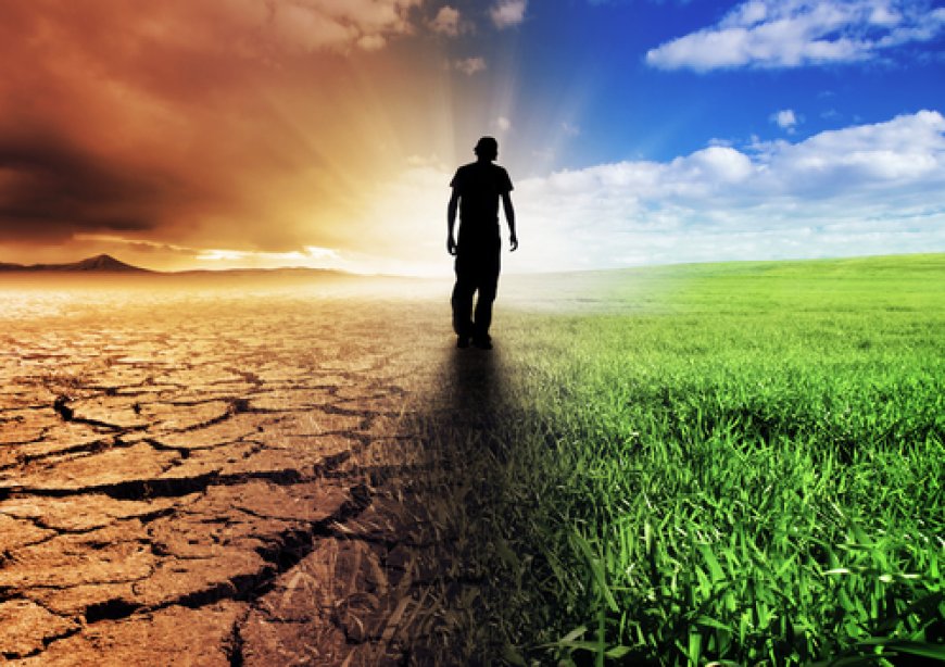 The Road to Net-Zero