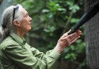 What Bangladesh Can Learn from Dr. Jane Goodall