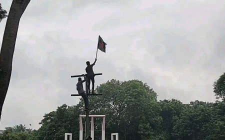 The Rise and Fall of the July Revolution