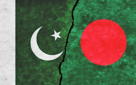 The Burdens of History