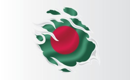 The Guns of November