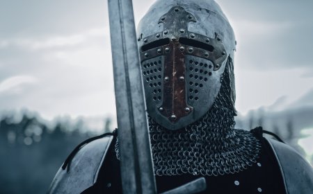 The Constitutional Knights-Errant of 2025