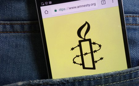 What Should We Make of the Amnesty Statement?