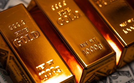 How Rich Are Our Princes?