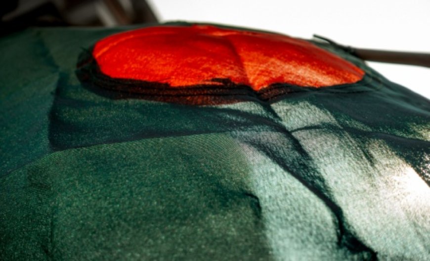 Understanding the July Uprising Through Spontaneity