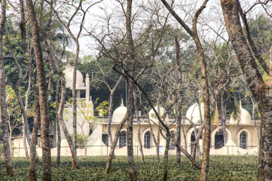 The Syed Family of Taraf: Ushering Islamic Rule in South Sylhet