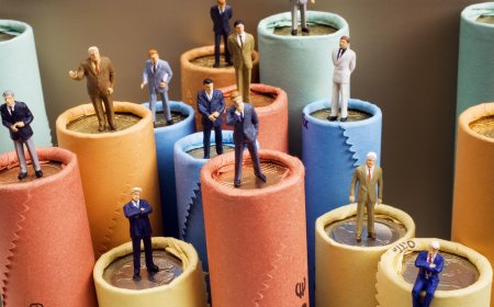 What Reforms Will Occur in the Proposed Government Financial Management Reform?