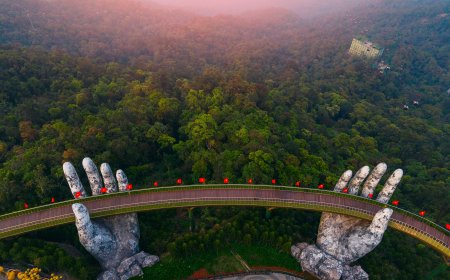 What Can We Learn From Vietnam?