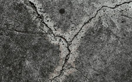 Who Should Speak About Earthquakes?