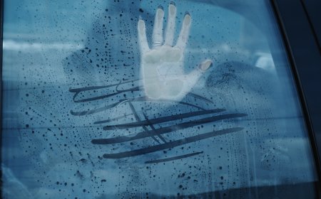 Who is a Razakar? What is a Razakar? Why Razakar?