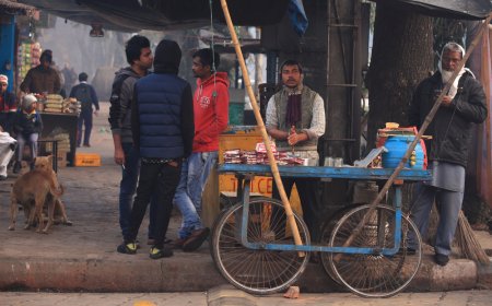 On Mudi, Tong, and the Perils of Asking Simple Questions