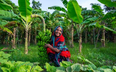 Victory is Ours, and Ours Alone