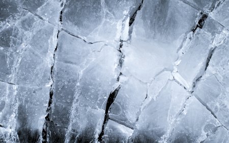 The Four Bangladeshes