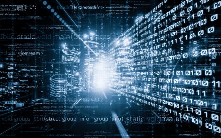 The Algorithm’s Muse: How a Cat Meme Led Me to the Barricades