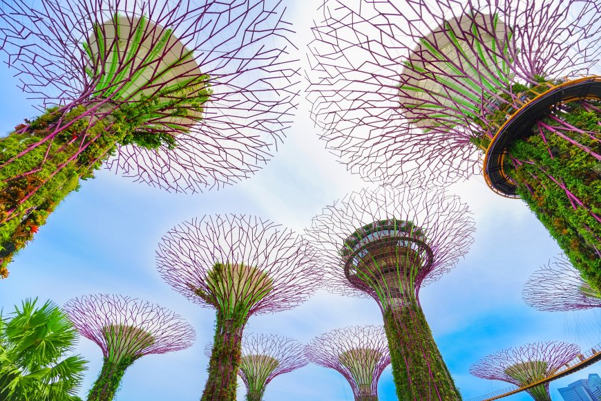 The Singapore Playbook