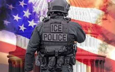 Minneapolis, ICE, and the Drift Toward Immigration Policing by Force