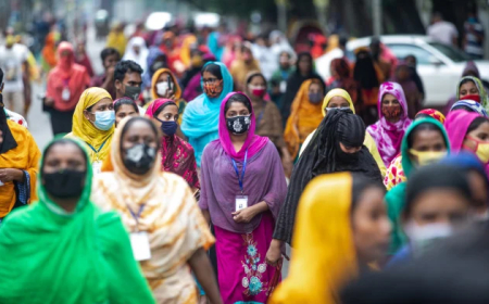 A (Darwinian) Manifesto for Dhaka’s Walkers