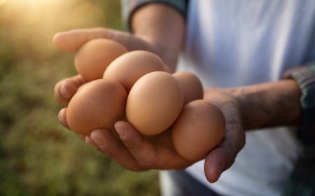 An Egg Today or a Chicken Tomorrow: The Economics of Time and Trust