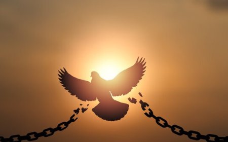 Why Peace Cannot Be Built on Division