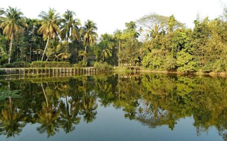 Reflections of an NCP Candidate