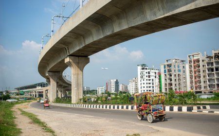 Going Back to Normal