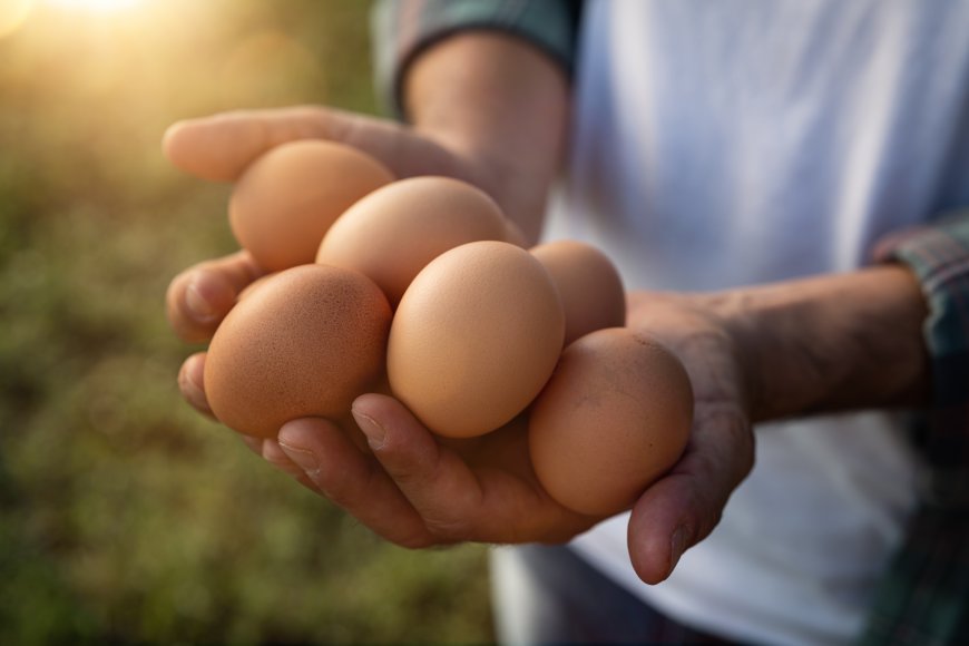An Egg Today or a Chicken Tomorrow: The Economics of Time and Trust