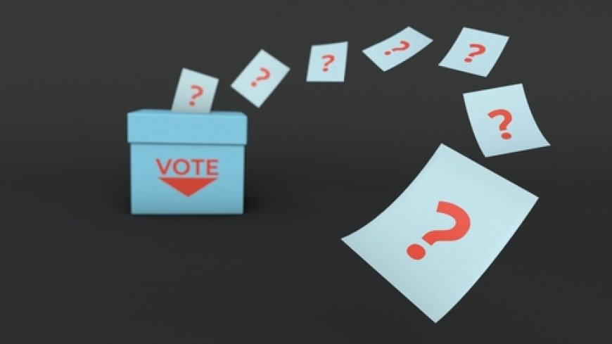 Which Charter Reforms Are You Voting For? No One Knows.