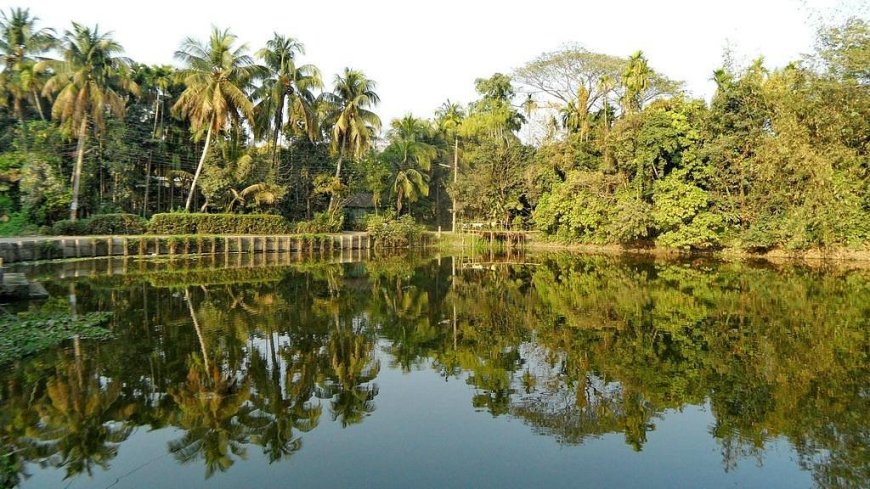 Reflections of an NCP Candidate