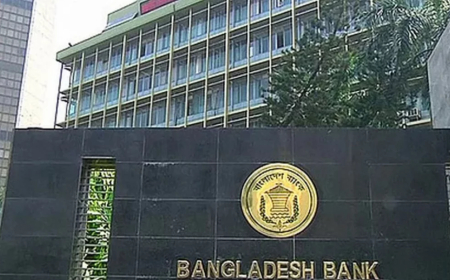 Show Us This is a New BNP