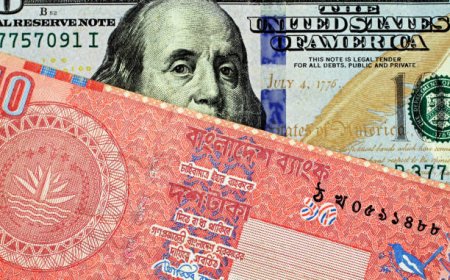 Economic Crosswinds: The Taka Faces New Global Pressures