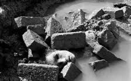 Three Million or Three Hundred Thousand?