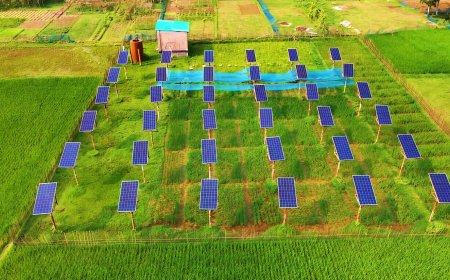 The Solar Panel Solution