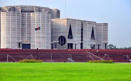 The Parliament and the New Democratic Journey