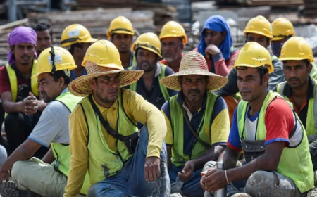 A Contingency Plan for Our Migrants