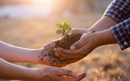 Development Begins Where Human Potential is Nurtured