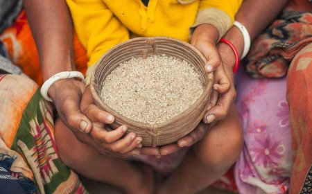 Food Insecurity and the Erosion of Food Sovereignty in Bangladesh