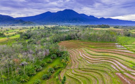 Can Bimstec Replace Saarc?