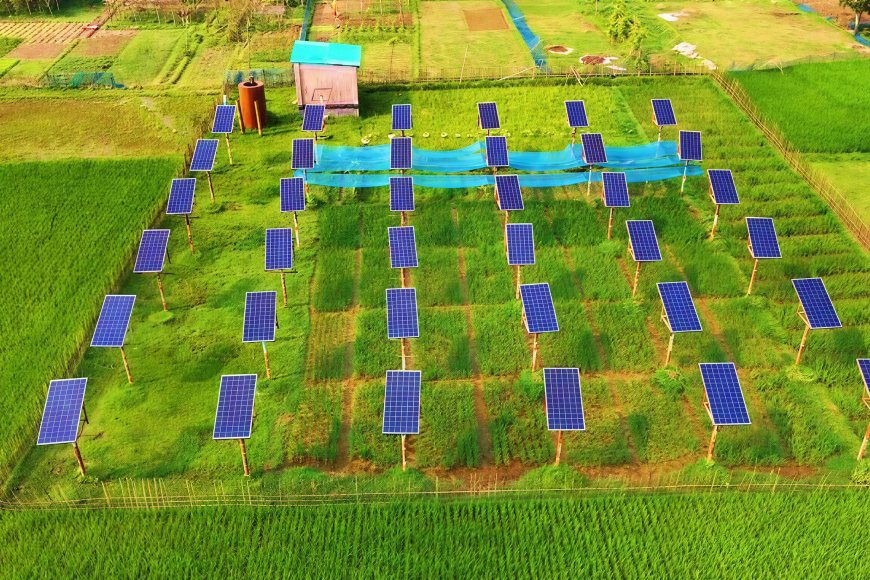 The Solar Panel Solution