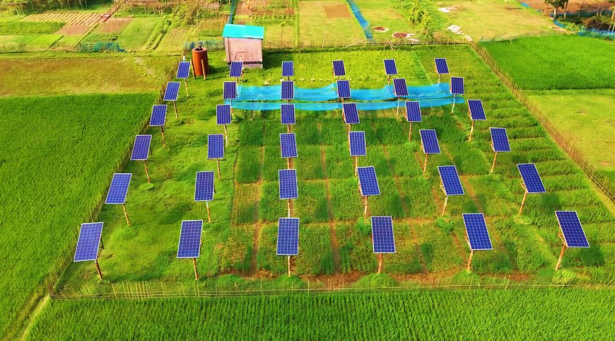 The Solar Panel Solution