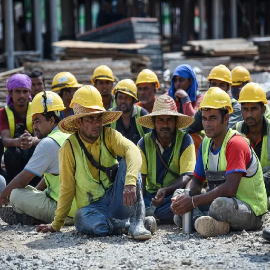 A Contingency Plan for Our Migrants