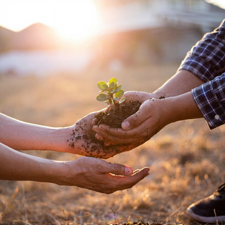 Development Begins Where Human Potential is Nurtured