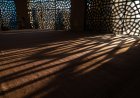 The Quiet Discipline of My Father
